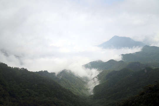 山巒起伏