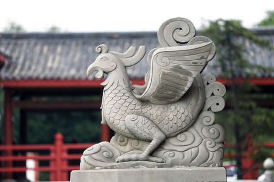 大鵬
