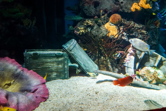 海底世界