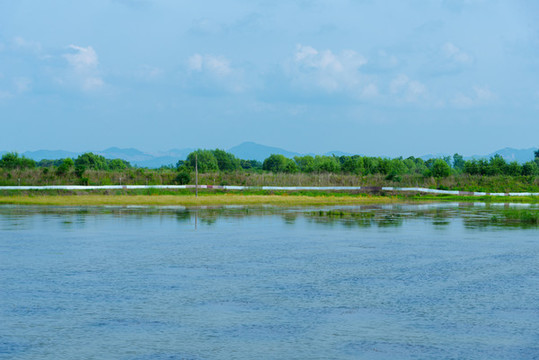 黃陂湖