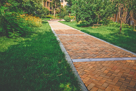 學(xué)校校園一景