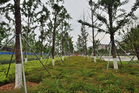 公園綠地