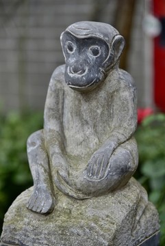 石猴