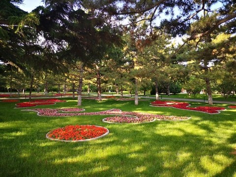 公園草坪
