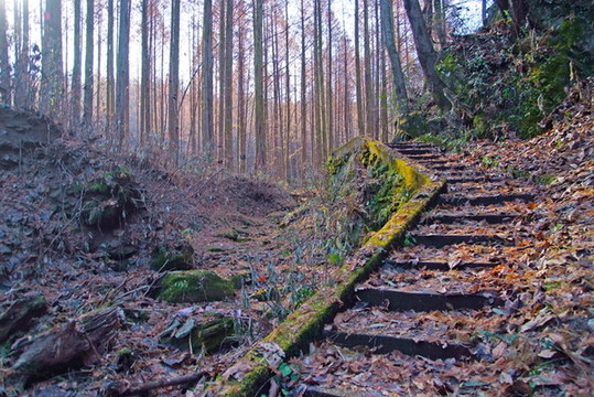 偏頭山BO