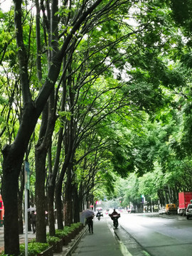 清晨的馬路上