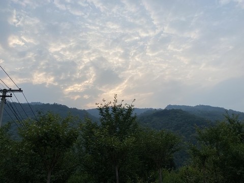 自然風(fēng)景森林植被