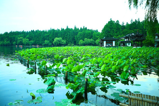 煙雨西湖