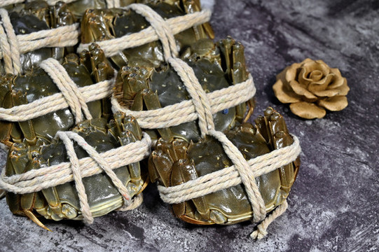 陽(yáng)澄湖大閘蟹