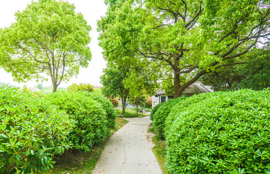 公園綠道