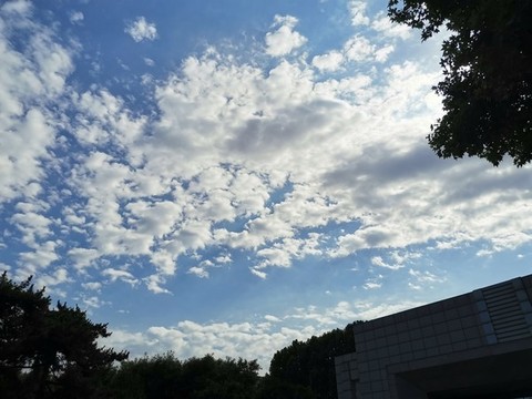 藍(lán)天白云