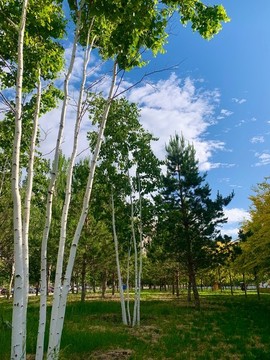 公園