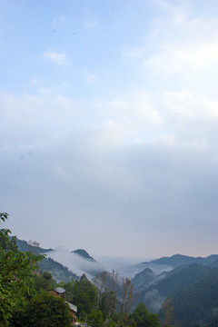 龍王埡云霧DW
