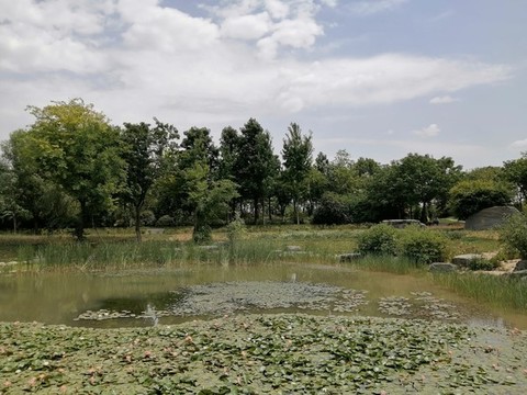 西安植物園