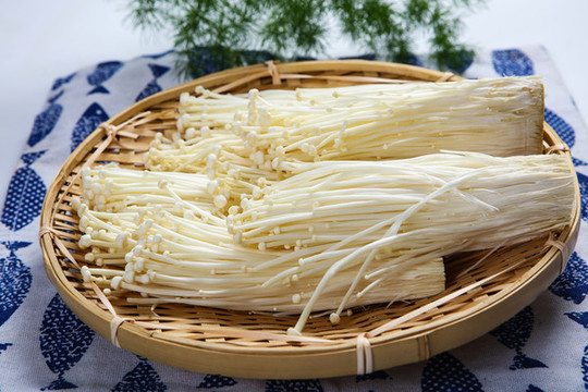 金針菇