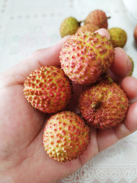 桂味荔枝