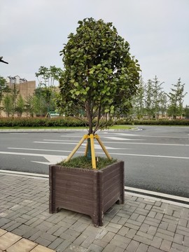 路口綠植與花壇
