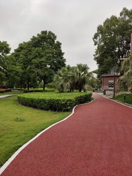 公園綠植與橡膠跑道