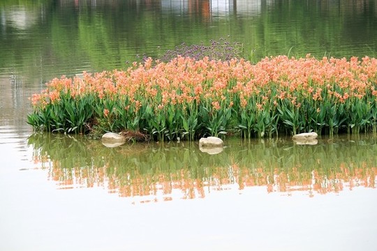 水上公園