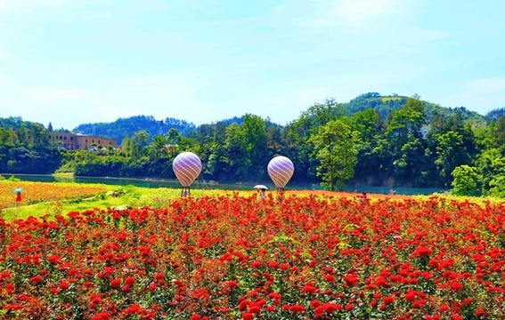 桃花島E