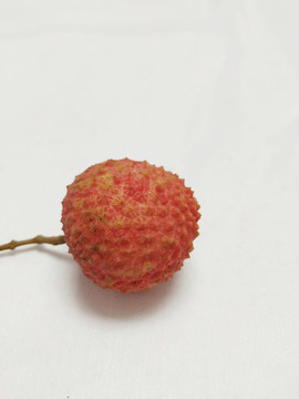 桂味荔枝