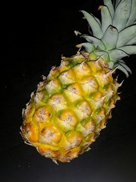 菠蘿