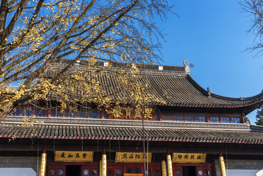 南京棲霞山
