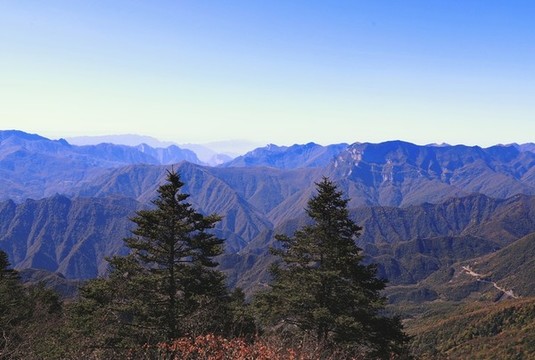 神龍架CX