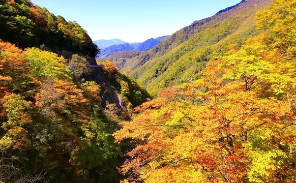神龍架BY