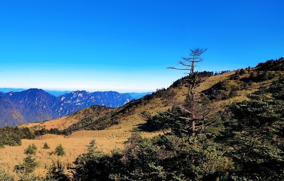 神龍架CD