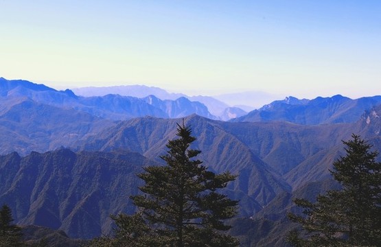 神龍架DI