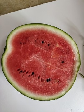 一半牛奶西瓜