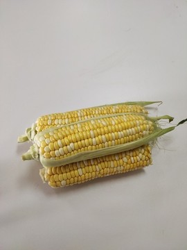 玉米