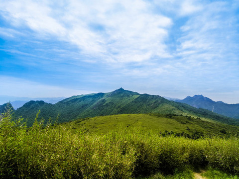 東坪溝