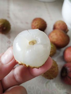 桂味荔枝