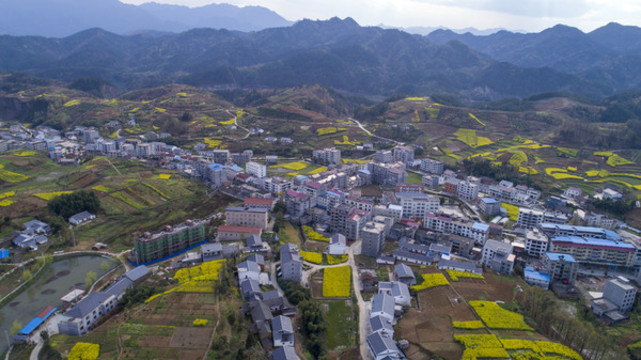龍湖濕地航拍BB