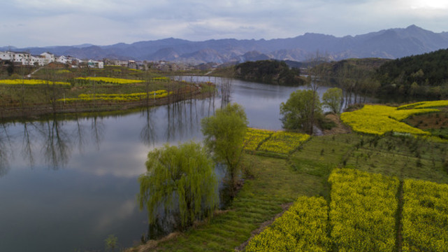 龍湖濕地航拍CB