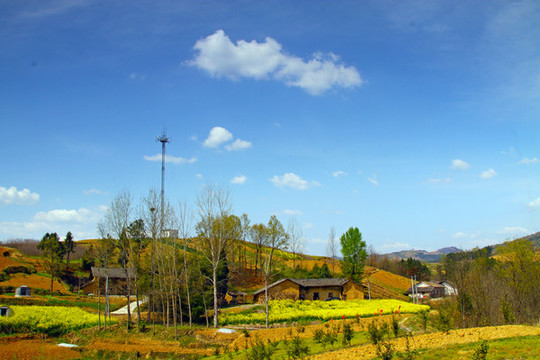 龍壩鄉(xiāng)村P