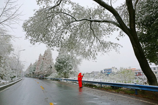龍壩雪景F