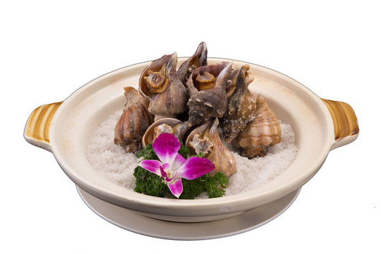 鹽焗海螺