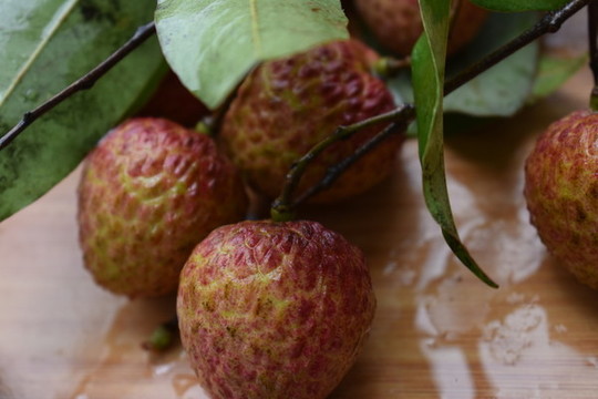 新鮮荔枝