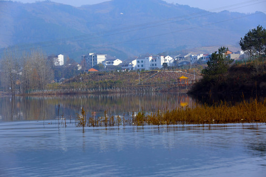 龍湖秋景D