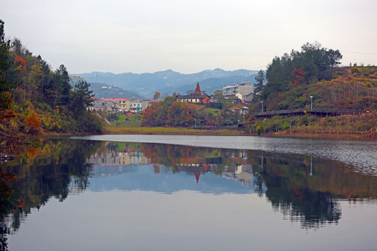 龍湖秋天A