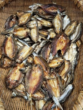 干白魚特寫