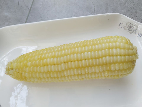 白玉米
