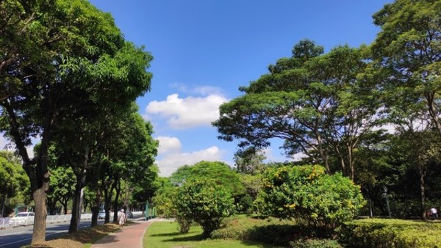 城市藍天