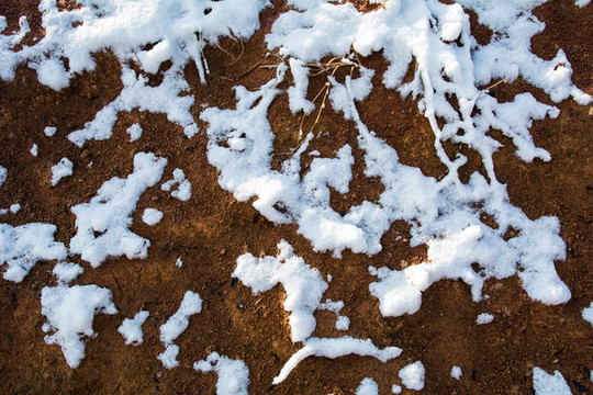 雪和黃土地