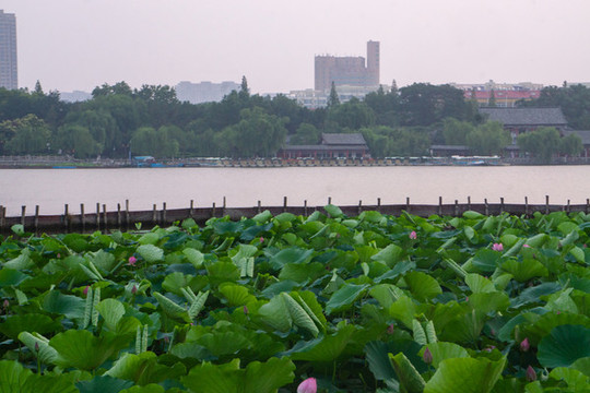 濟(jì)南大明湖21
