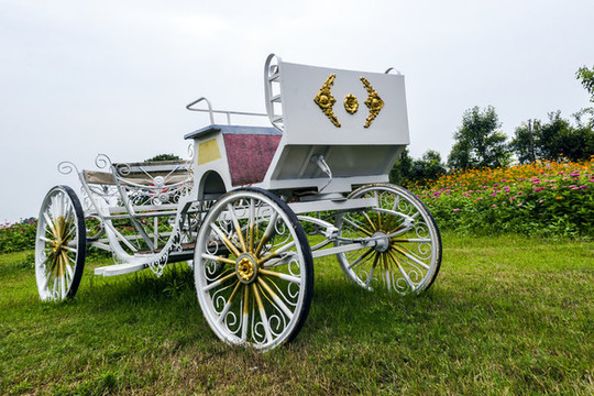 橫幅仰拍歐式馬車