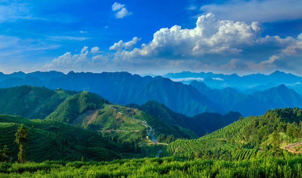 青山